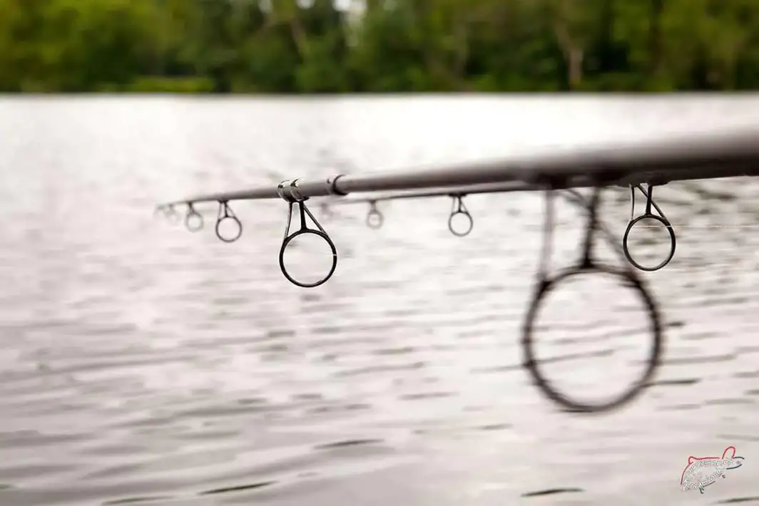 Karpfenruten auswählen, welche brauche ich?