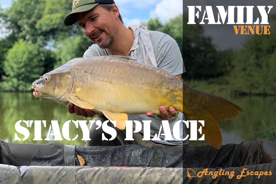 Impressionsvideo Stacy’s Place