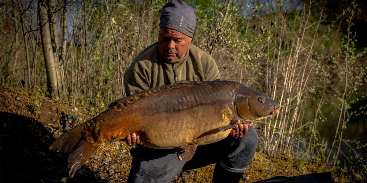 Edwin Zabar Spiegel Karper 1 Edwin Zabar 1