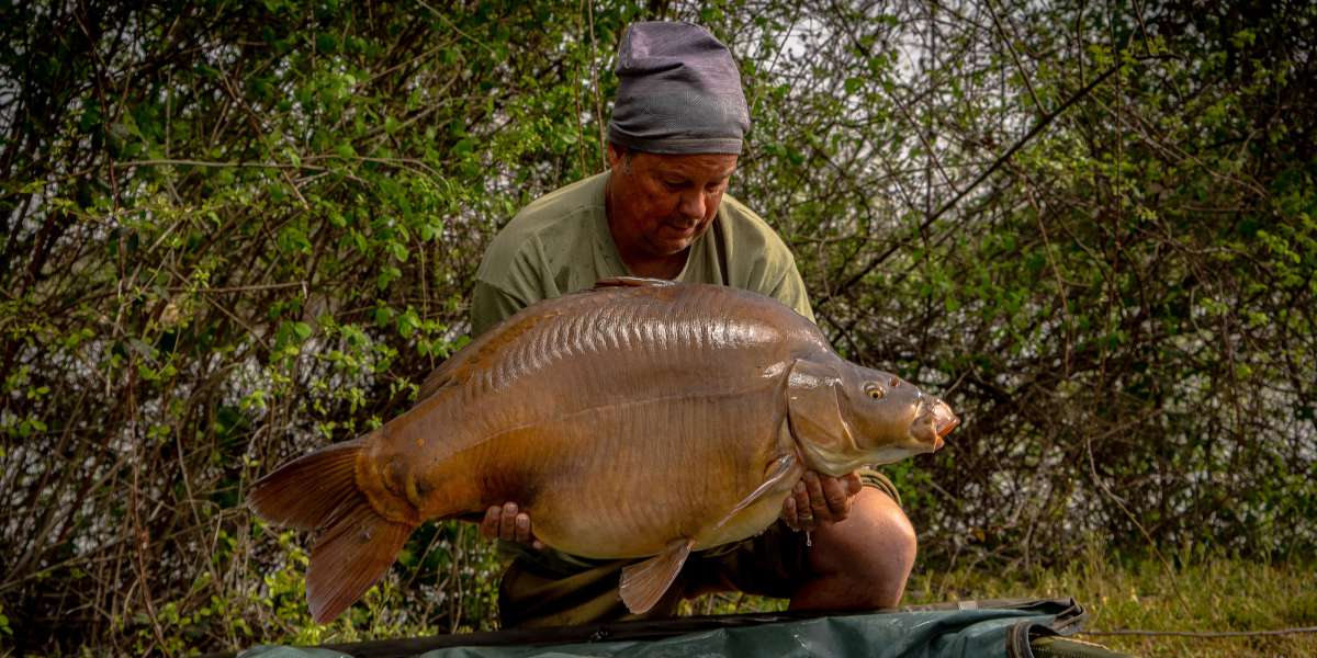Edwin Zabar Spiegel Karper 2 Zabar Spiegel Karper