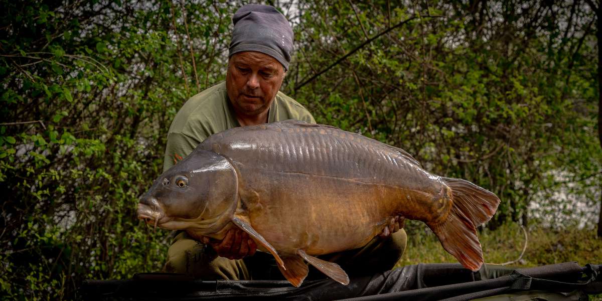 Edwin Zabar Spiegel Karper 3 Edwin Zabar Spiegel