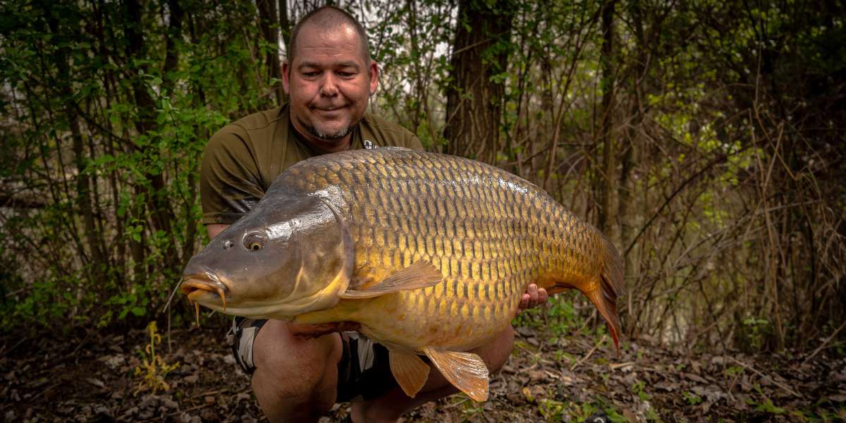 Sebastiaan Zabar Schub Karper 3 Sebastiaan Schub 3