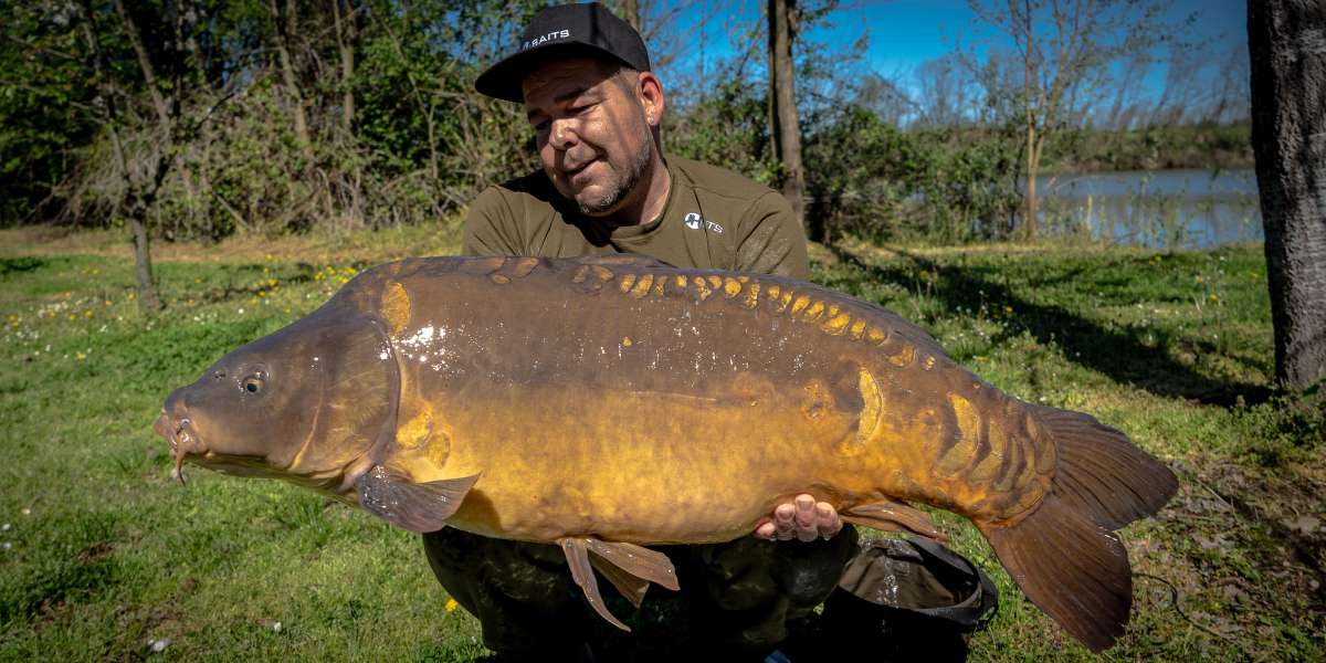 Sebastiaan Zabar Spiegel Karper 1 Spiegel Karper 1