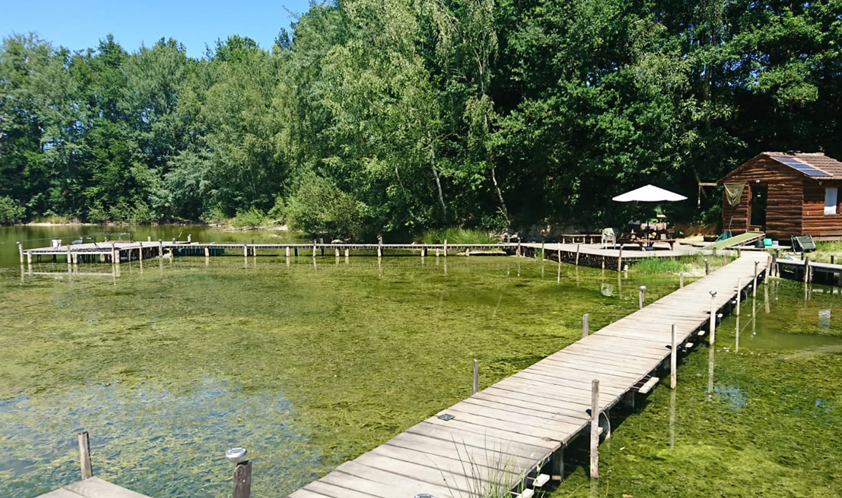 01 Aquadev Karpervisvakantie Frankrijk Karpervissen Karpervisvakantie Frankrijk 1