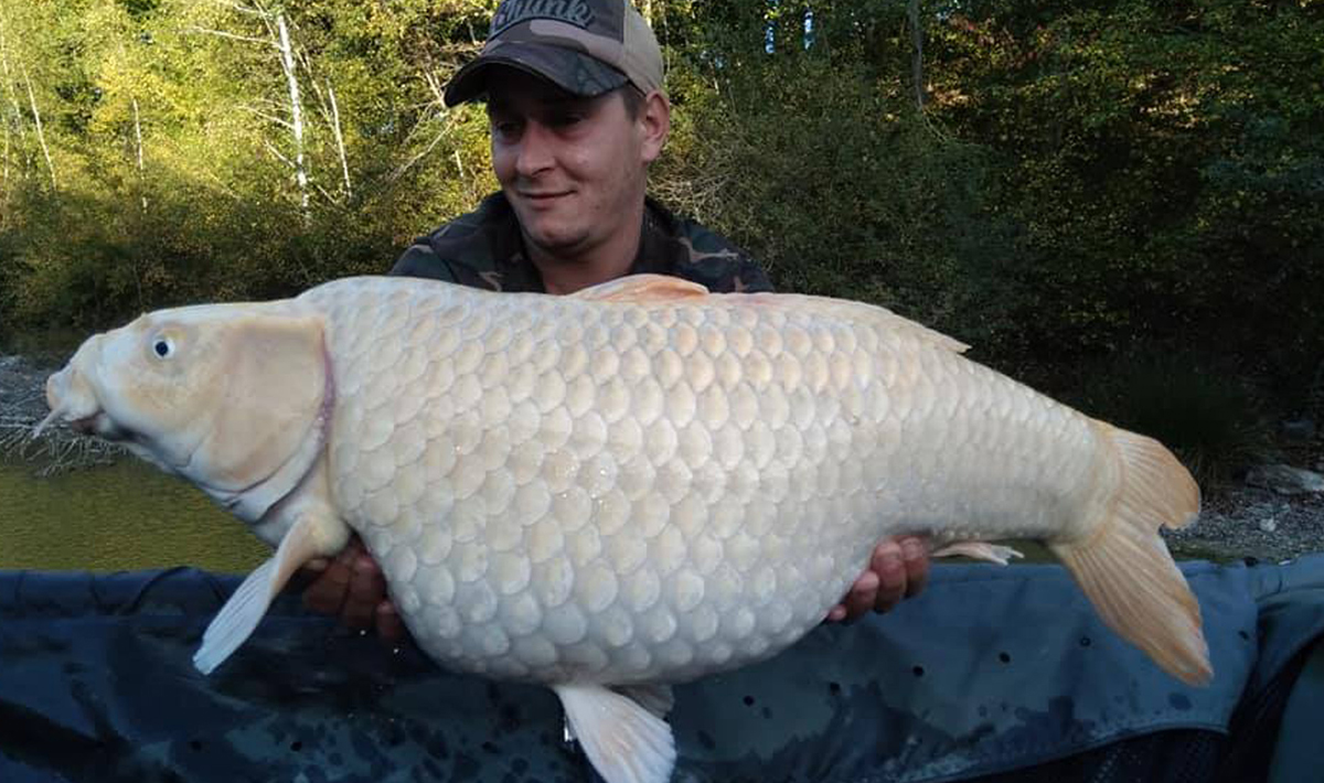 01 Aquadev Karpervisvakantie Frankrijk Karpervissen Aquadev Et Loire