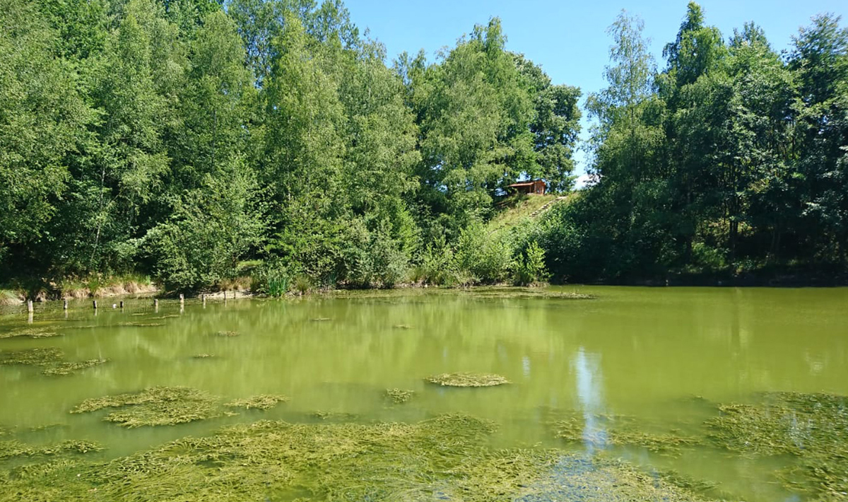 Aquadev Karpervisvakantie Frankrijk Karpervissen Accommodatie Aquadev Et Loire