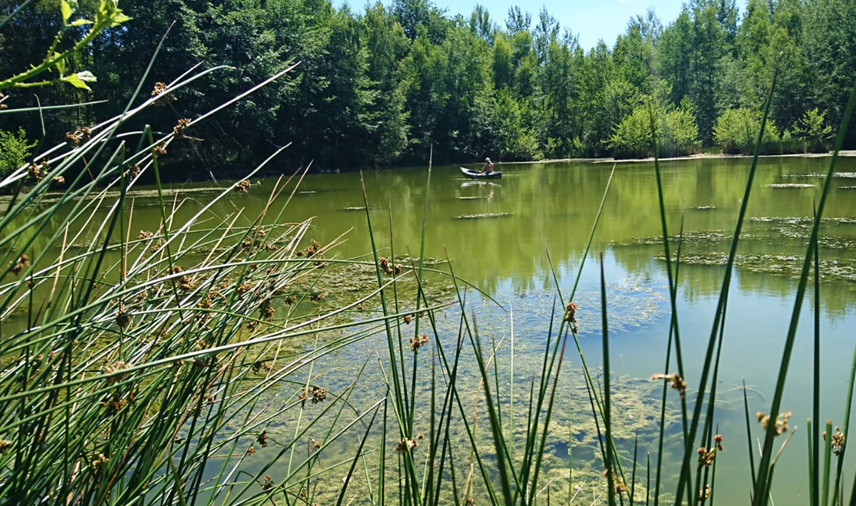 Aquadev Karpervisvakantie Frankrijk Karpervissen Accommodatie Frankrijk Karpervissen Saone