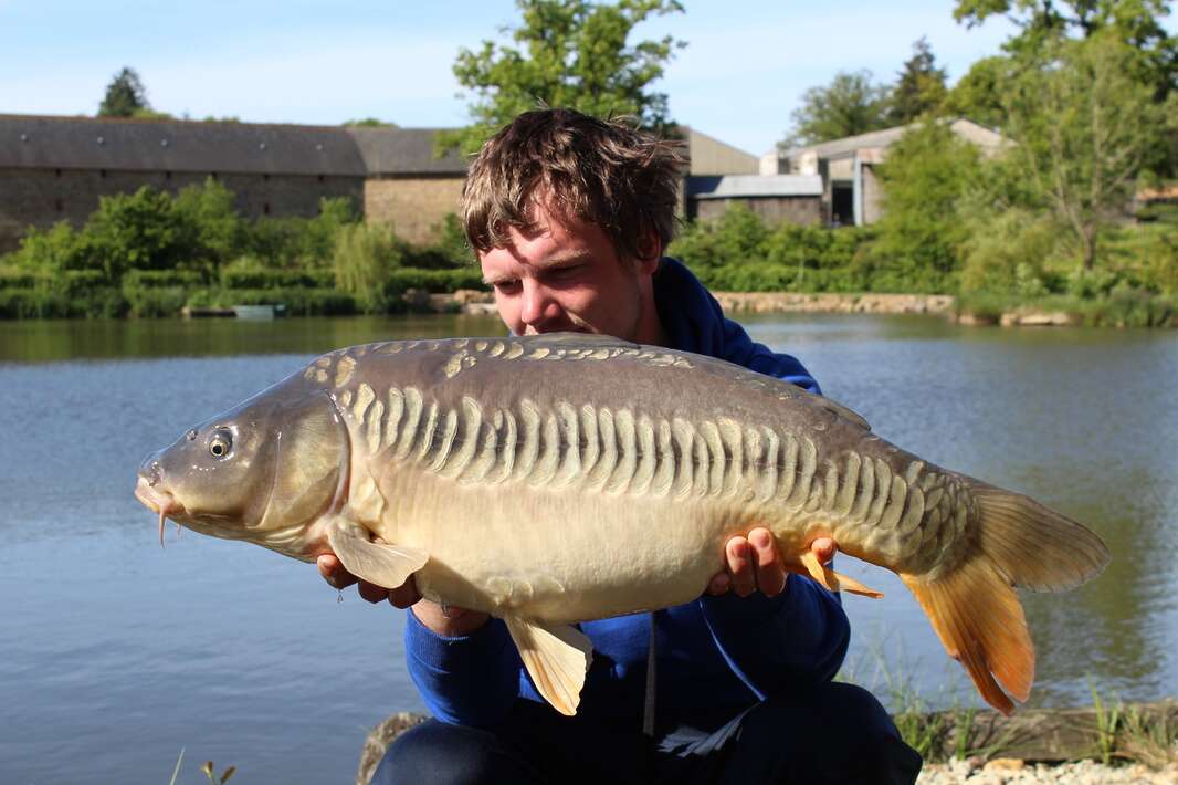 Bellevue Betaalwater Frankrijk Mayenne Luxe Mayenne Luxe 13