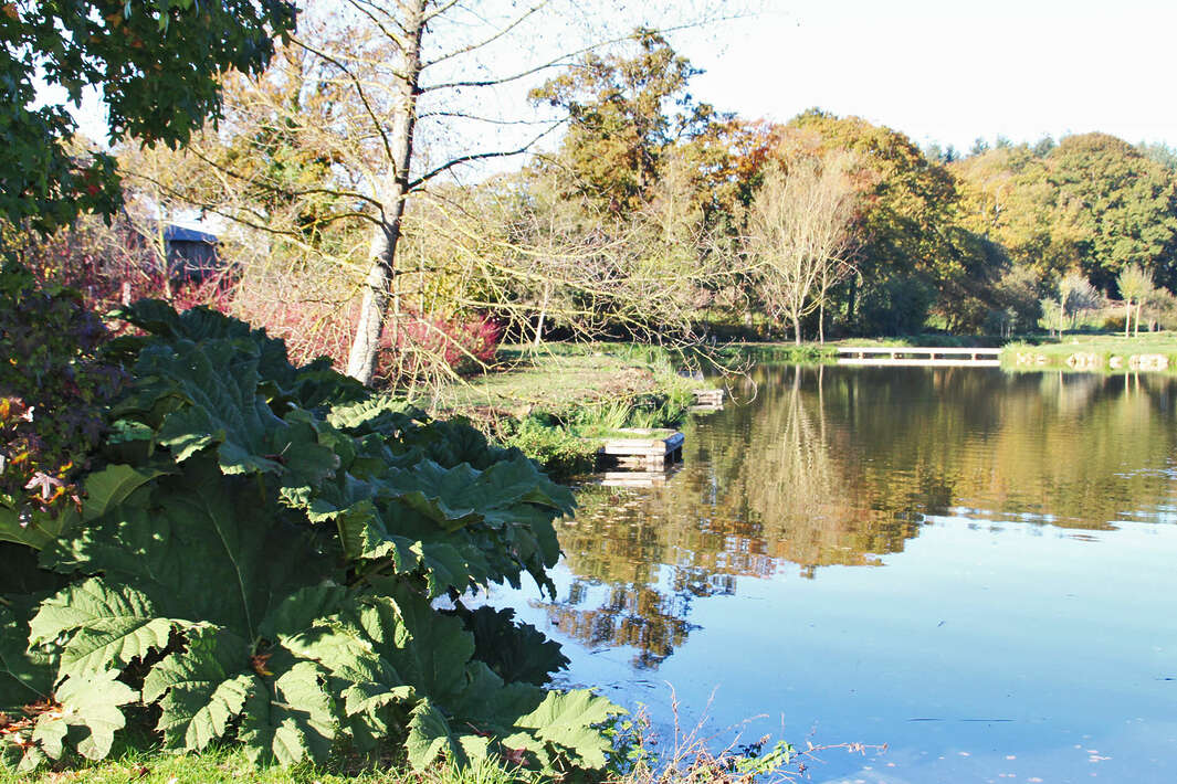 Bellevue Betaalwater Frankrijk Mayenne Luxe Frankrijk Mayenne Luxe