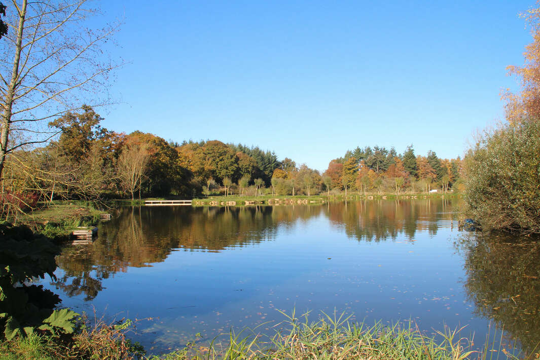 Bellevue Betaalwater Frankrijk Mayenne Luxe Mayenne Accommodatie Karpervissen