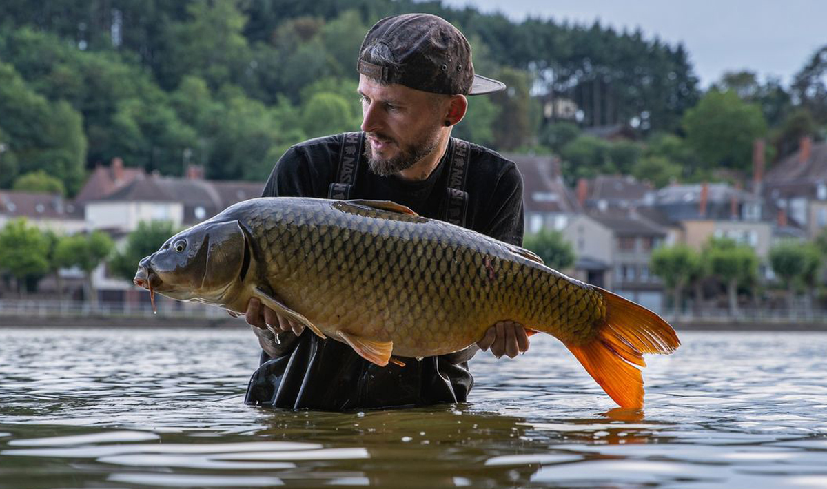 Frankrijk Grote Karpers Betaalwater La Frankrijk Betaalwater Castle