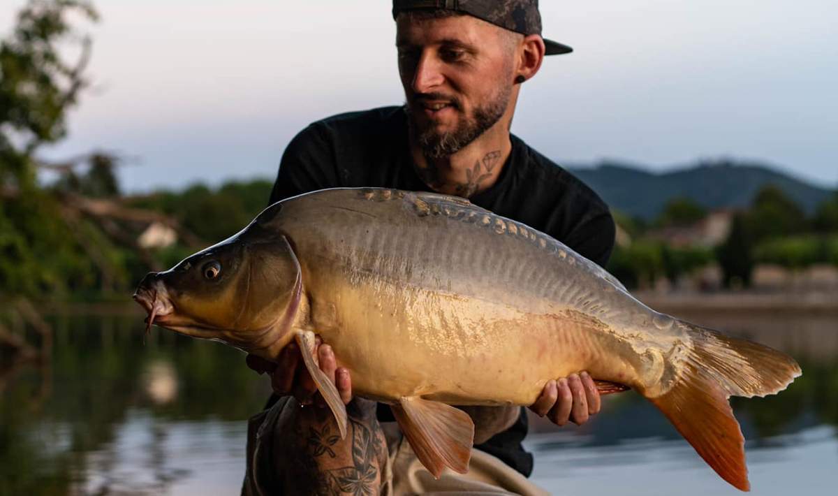 Frankrijk Grote Karpers Betaalwater La Betaalwater Castle 10