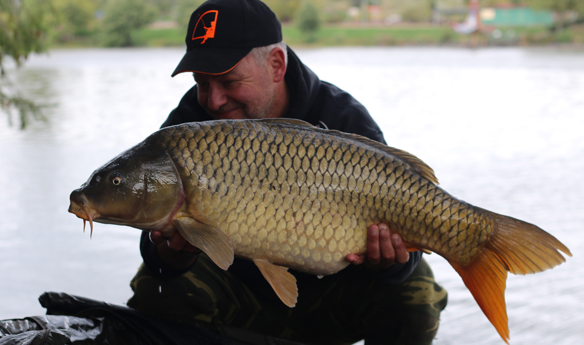 Frankrijk Grote Karpers Betaalwater La Karpers Lake 11