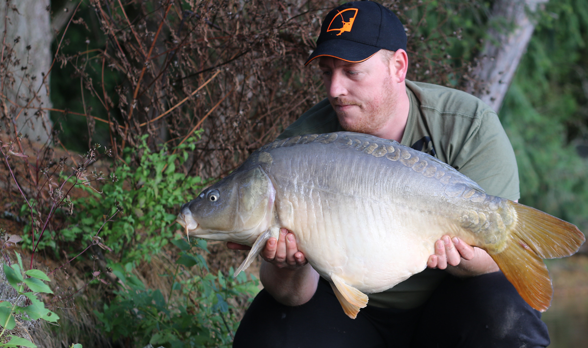 Frankrijk Grote Karpers Betaalwater La Frankrijk La Clayette