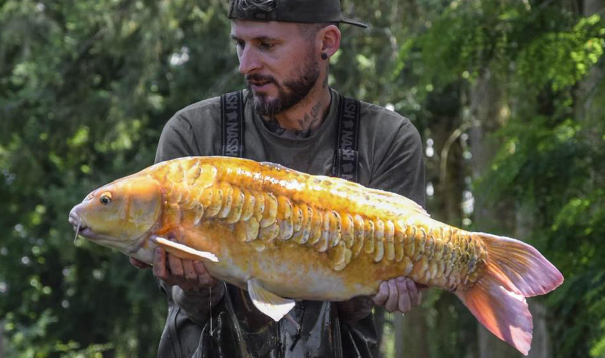 Frankrijk Grote Karpers Betaalwater La Frankrijk La Lake