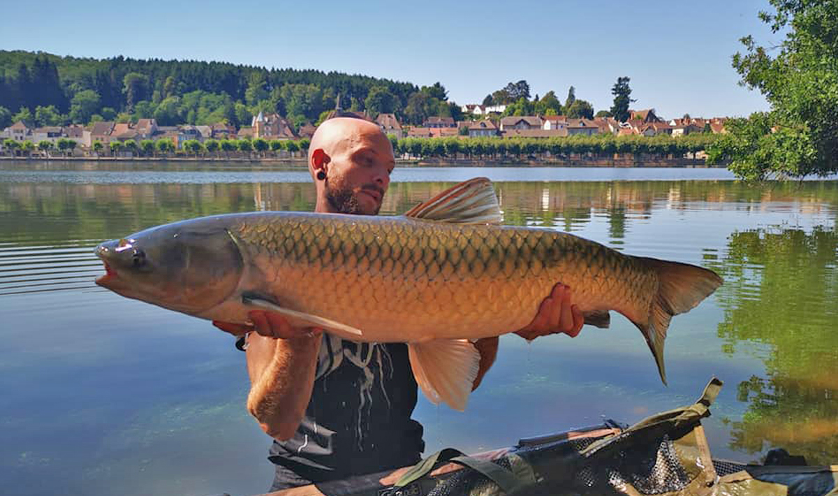 Frankrijk Grote Karpers Betaalwater La Frankrijk Karpers La