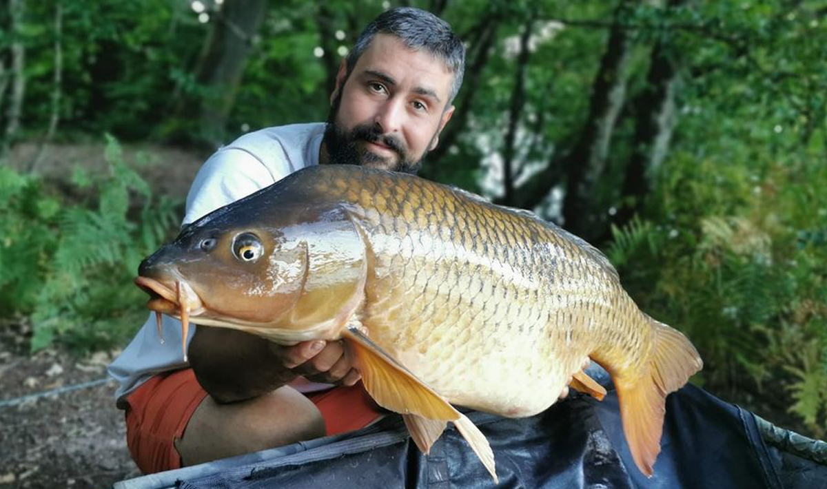 Frankrijk Grote Karpers Betaalwater La Frankrijk Clayette 4