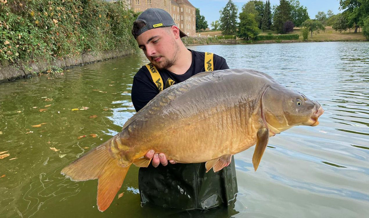Frankrijk Grote Karpers Betaalwater La Betaalwater Clayette Lake