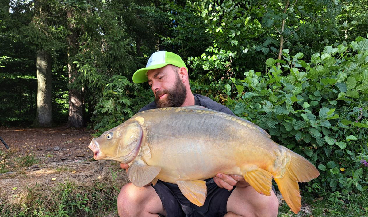 Frankrijk Grote Karpers Betaalwater La Frankrijk Grote Karpers