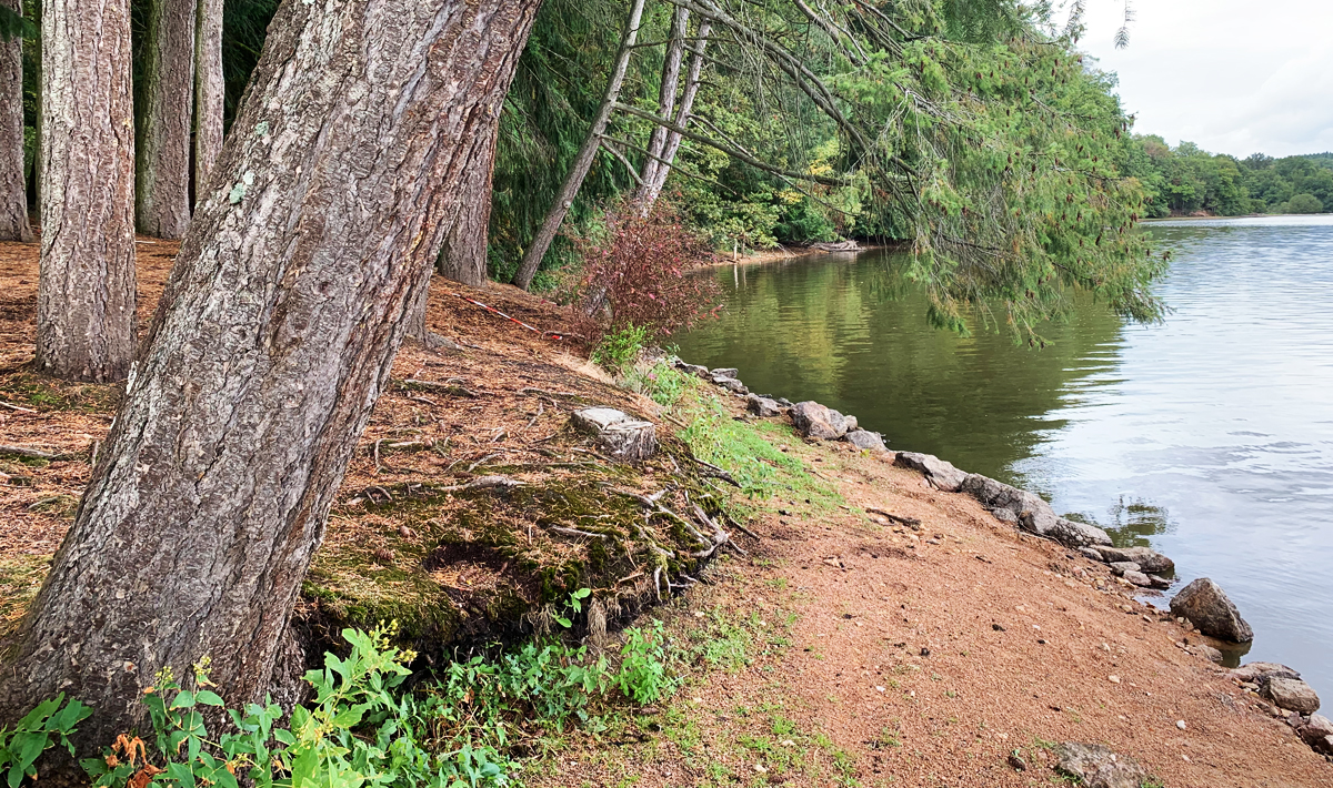 Sfeer Frankrijk Grote Karpers Betaalwater Sfeer Grote Betaalwater