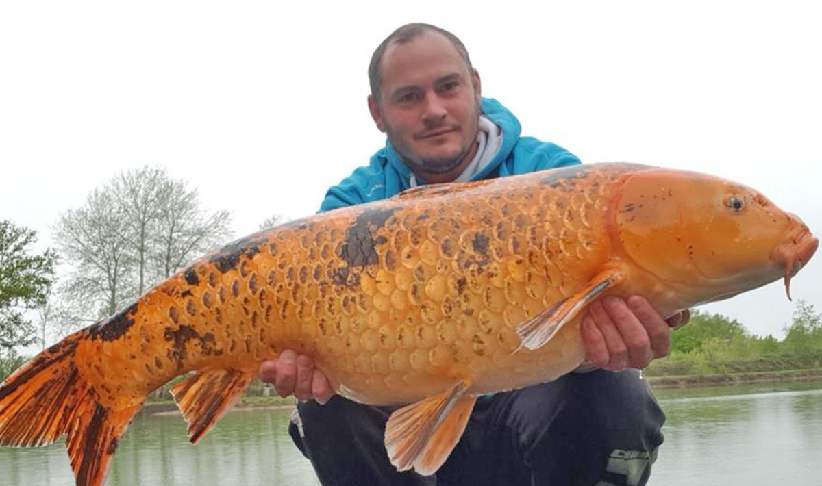 Visvakantie Chayenne Familie Visvakantie Betaalwater Visvakantie Noord 8