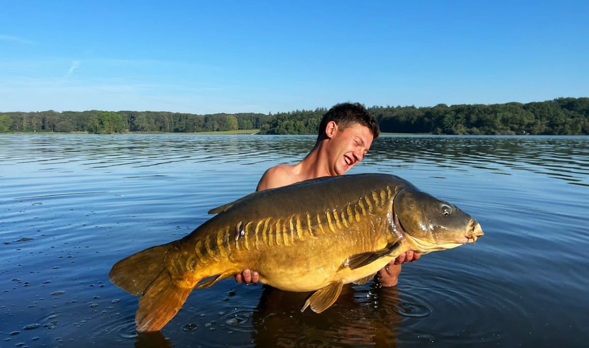 Etang de la Poiteviniere