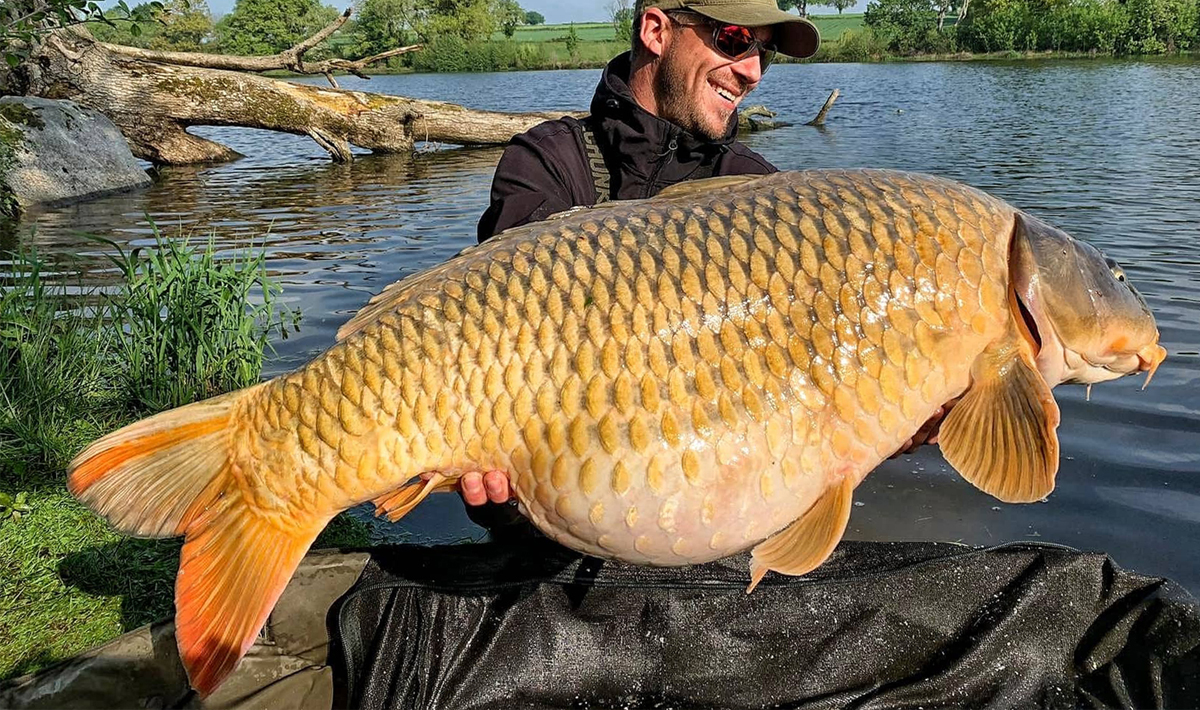 Karper Chateliers Karpervissen Frankrijk Betaalwater Karper Karpervissen 2