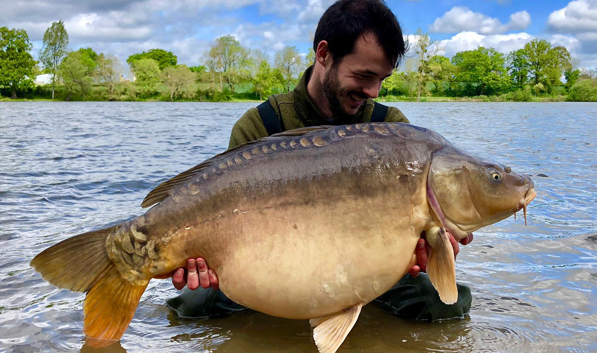 Karper Chateliers Karpervissen Frankrijk Betaalwater Karper Karpervissen 4