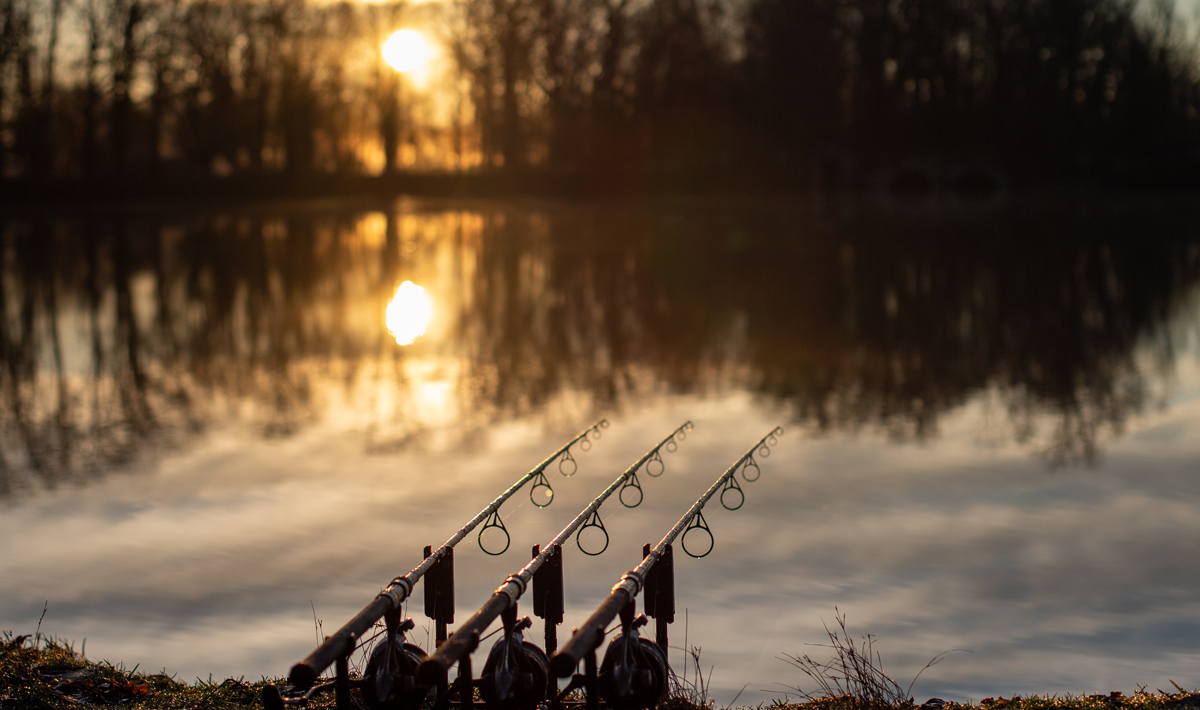 Sfeer Chateliers Karpervissen Frankrijk Betaalwater Sfeer Chateliers Karpervissen