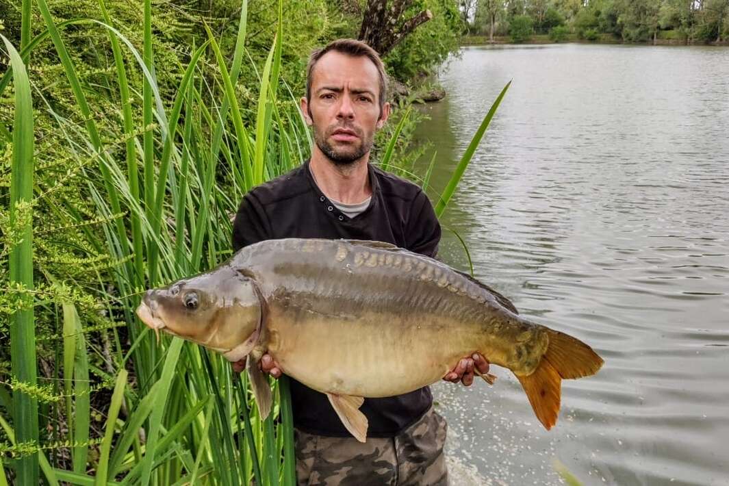 Etang Du Bambou Karpervissen Vakantie Bambou Vissen 1