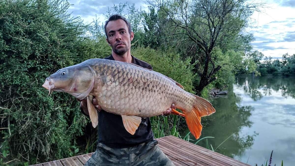Etang Du Bambou Karpervissen Vakantie Karpervissen Vakantie Frankrijk