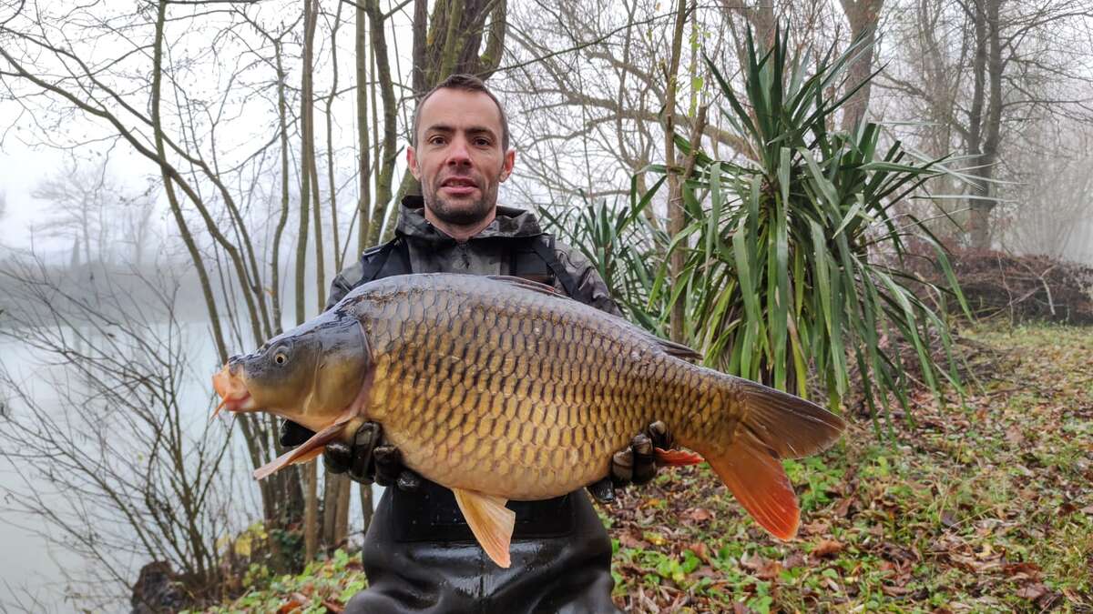 Etang Du Bambou Karpervissen Vakantie Etang Bambou Frankrijk
