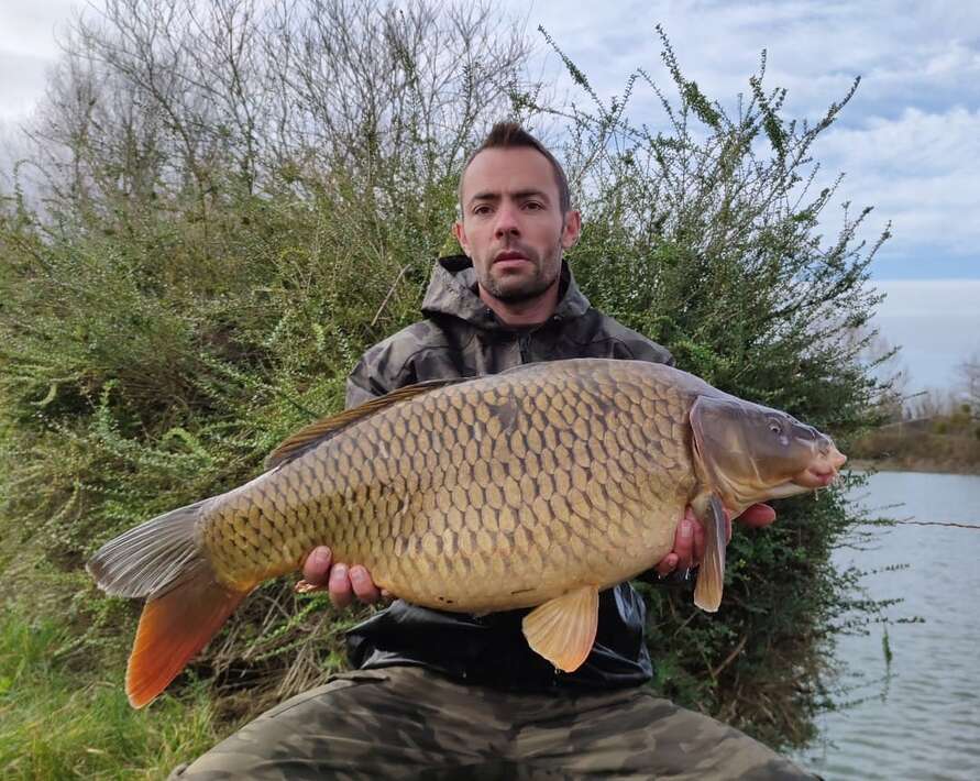 Etang Du Bambou Karpervissen Vakantie Etang Bambou Vakantie