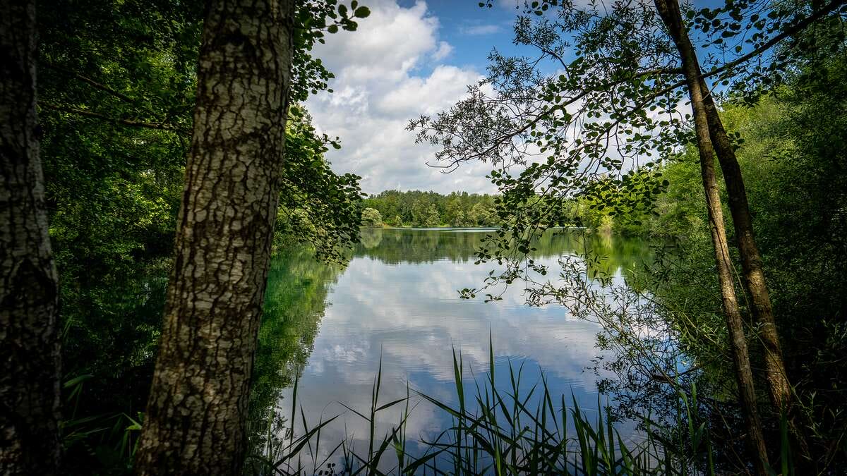 Etang Du Garnd Christoph Lassicourt Du Christoph 1