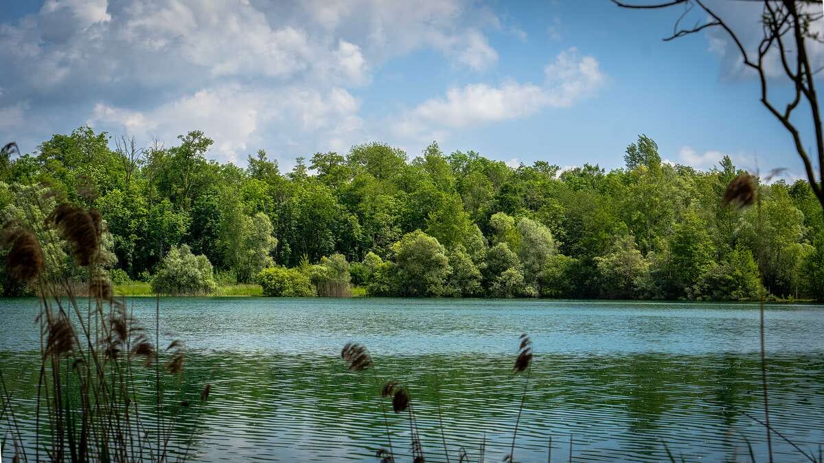 Etang Du Garnd Christoph Lassicourt Du Christoph 2