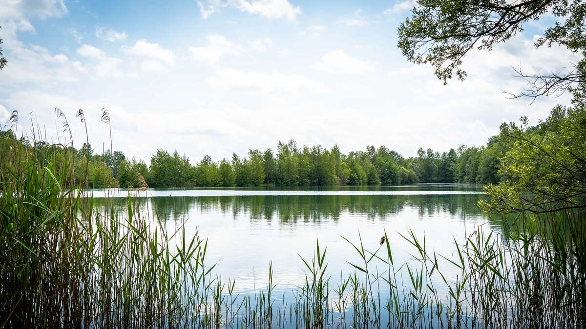 Etang Du Garnd Christoph Lassicourt Garnd Lassicourt Uitzicht