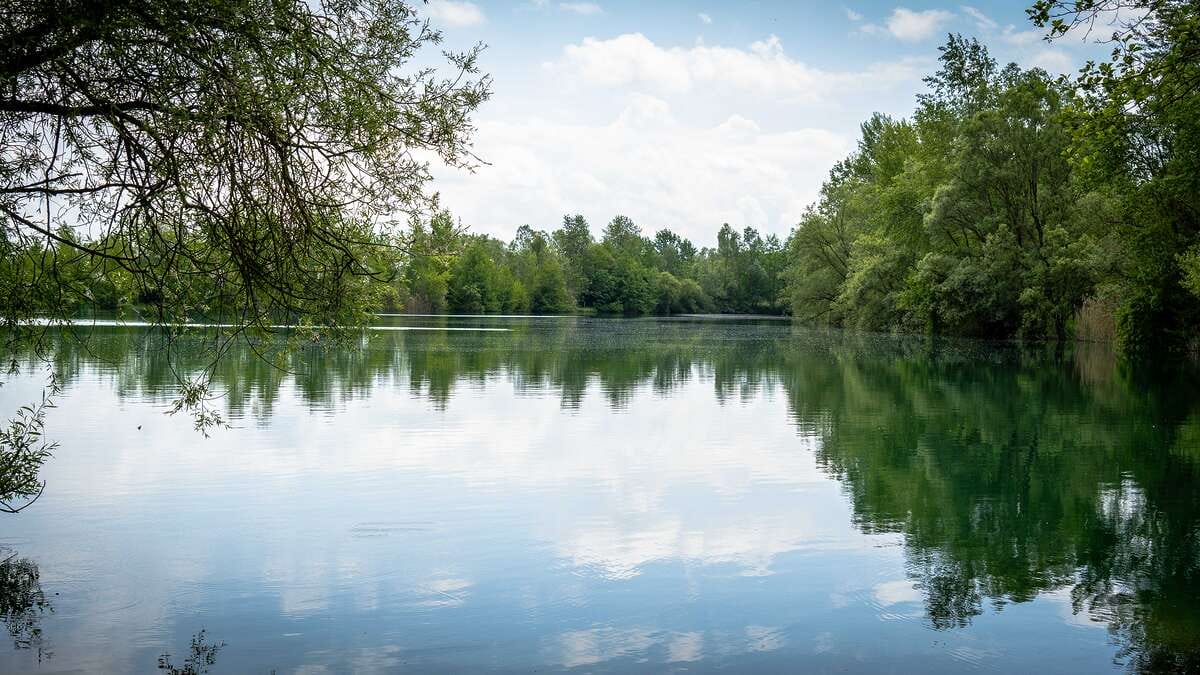 Etang Du Garnd Christoph Lassicourt Etang Lassicourt 5
