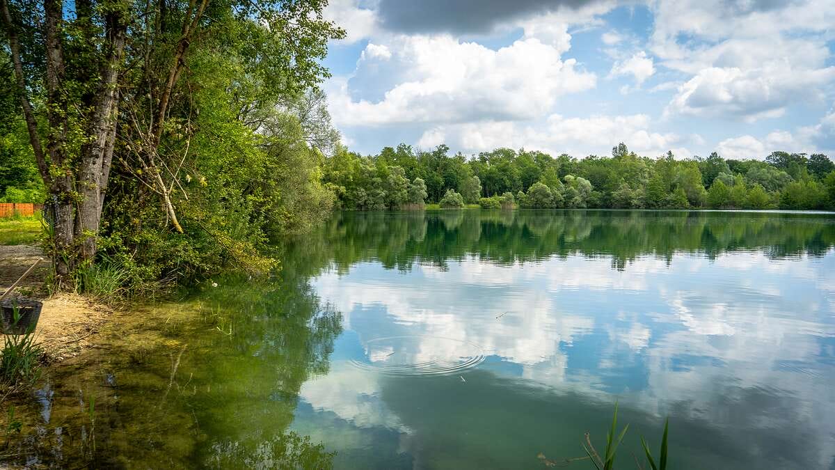 Etang Du Garnd Christoph Lassicourt Etang Christoph Lassicourt