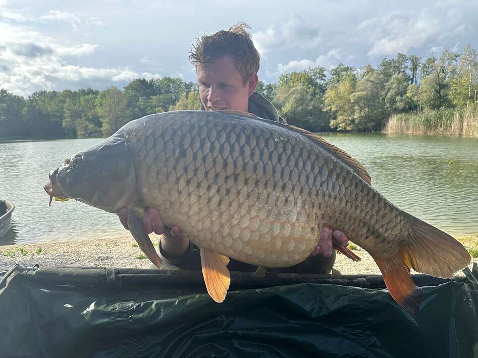 Etang Du Grand Christoph Frankrijk Frankrijk Schubkarper 2