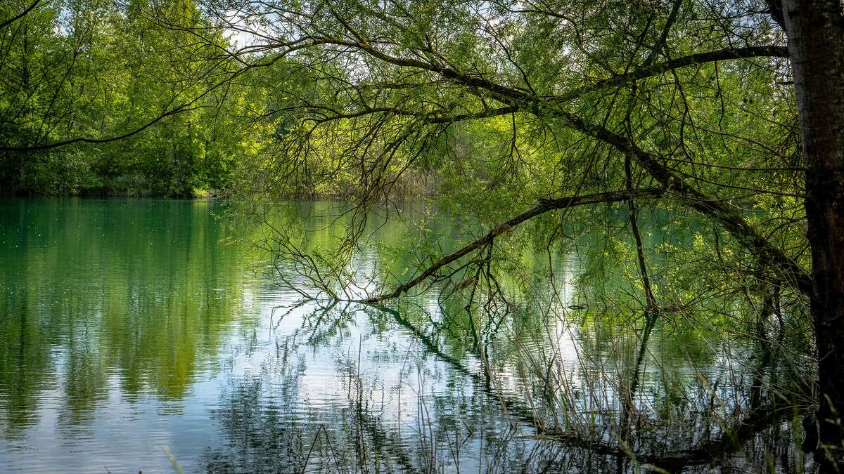 Etang Du Grand Christoph Frankrijk Etang Christoph Uitzicht