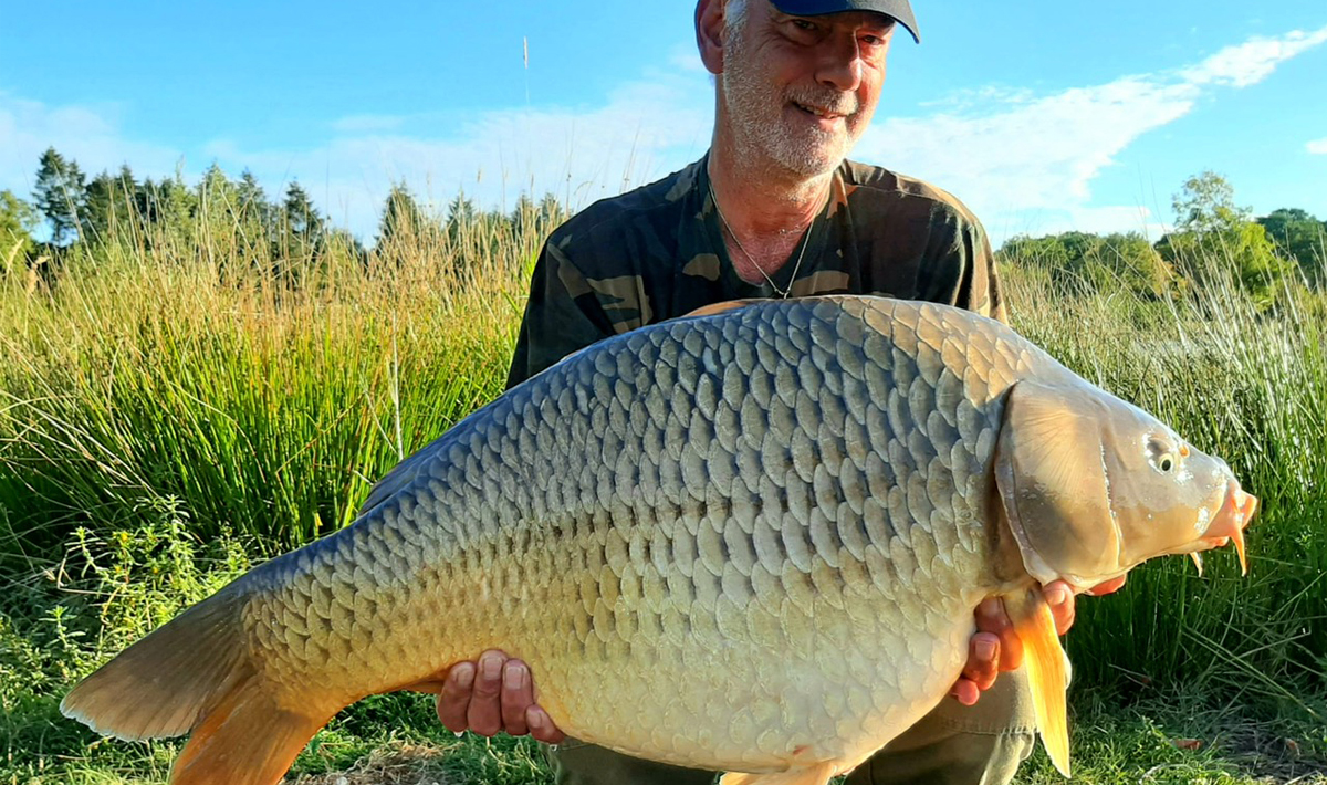Etang Du Grand Foret Orient Etang Karpervissen 4
