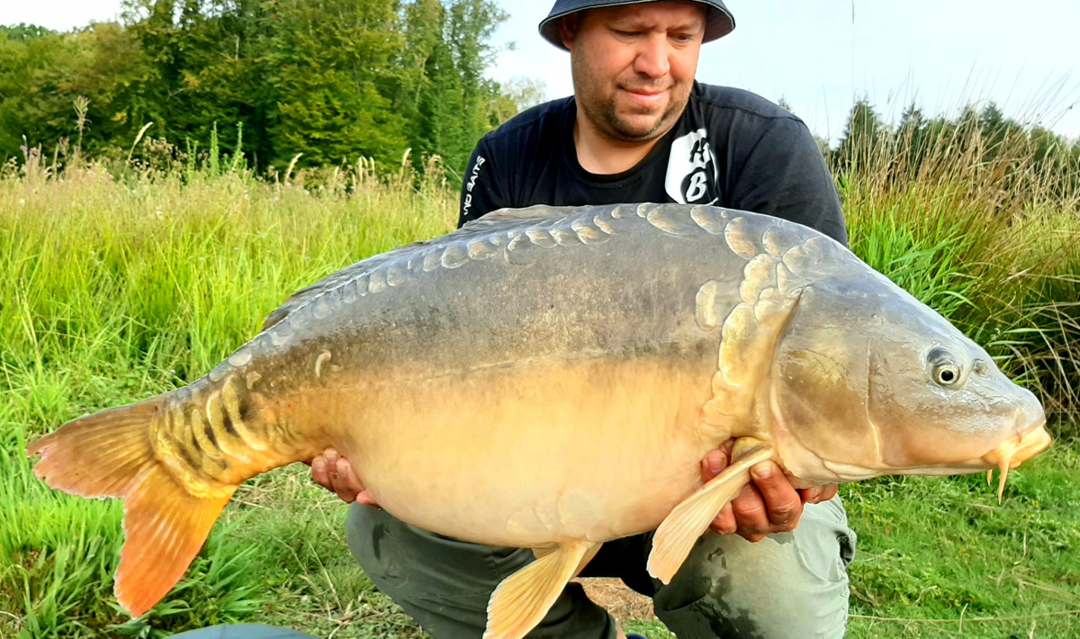 Etang Du Grand Foret Orient Du Orient Frankrijk