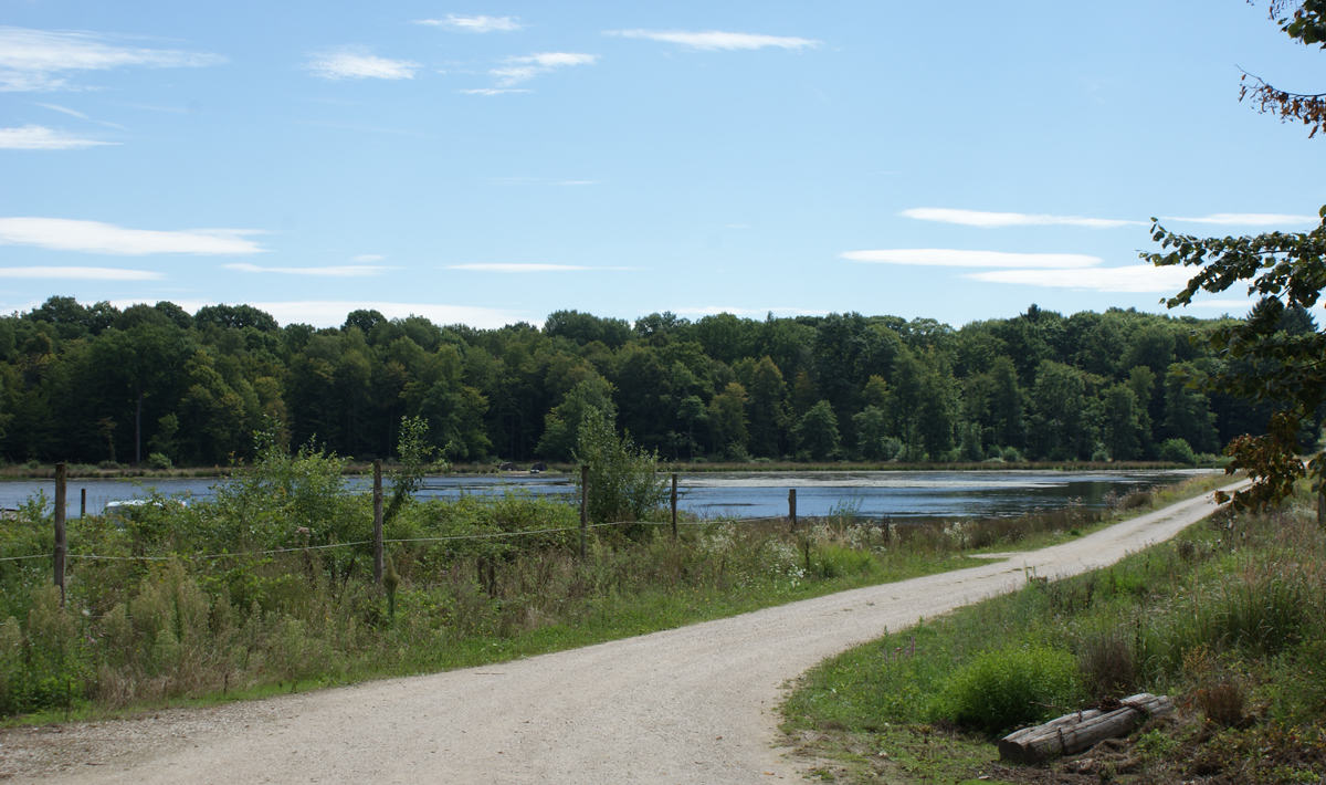 Sfeer Etang Du Grand Foret Sfeer Du Foret