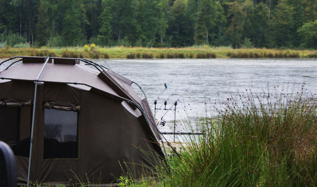 Sfeer Etang Du Grand Foret Du Foret 5