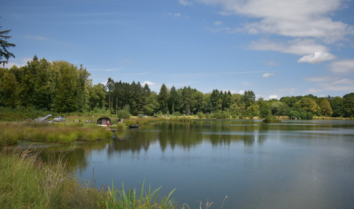 Sfeer Etang Du Grand Foret Sfeer Foret Karpervissen