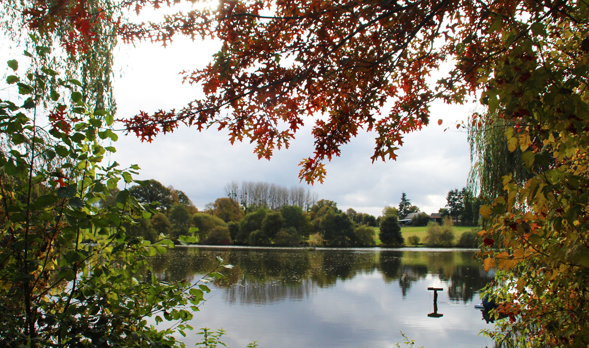 Sfeer Marolles Vissen Frankrijk Visvakantie Marolles Bivvy 2