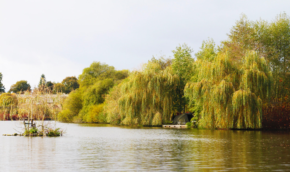 Sfeer Marolles Vissen Frankrijk Visvakantie Vissen Visvakantie Betaalwater