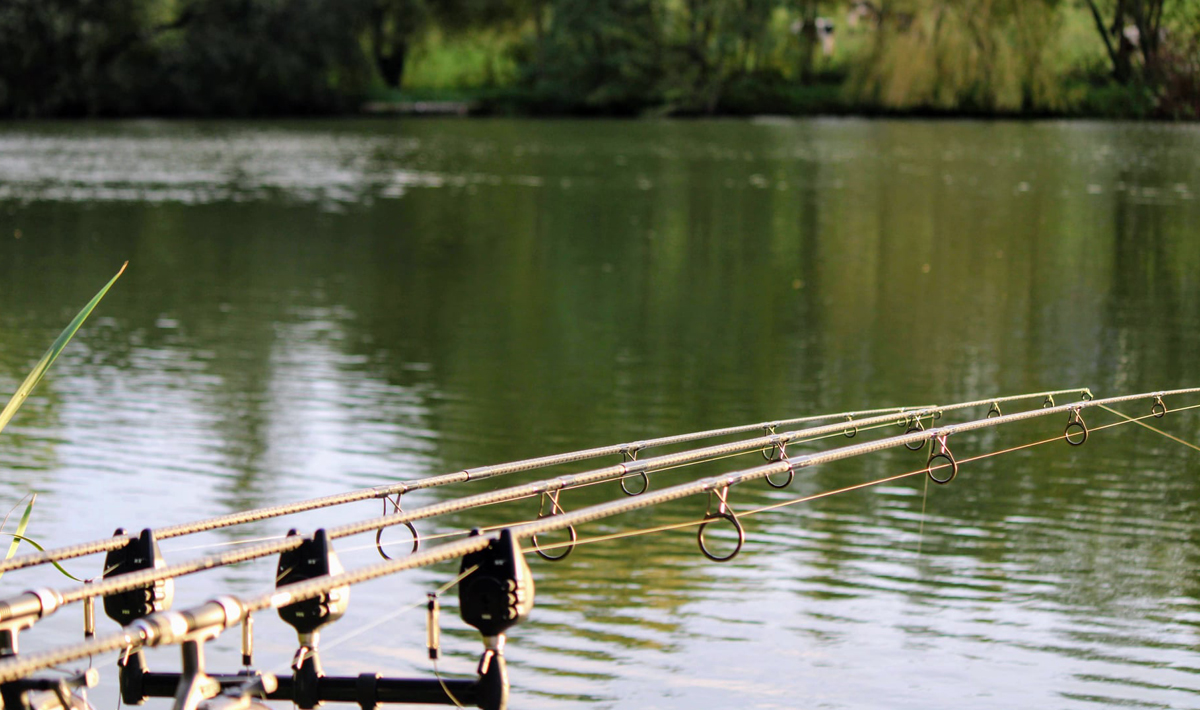 Sfeer Marolles Vissen Frankrijk Visvakantie Marolles Frankrijk Betaalwater