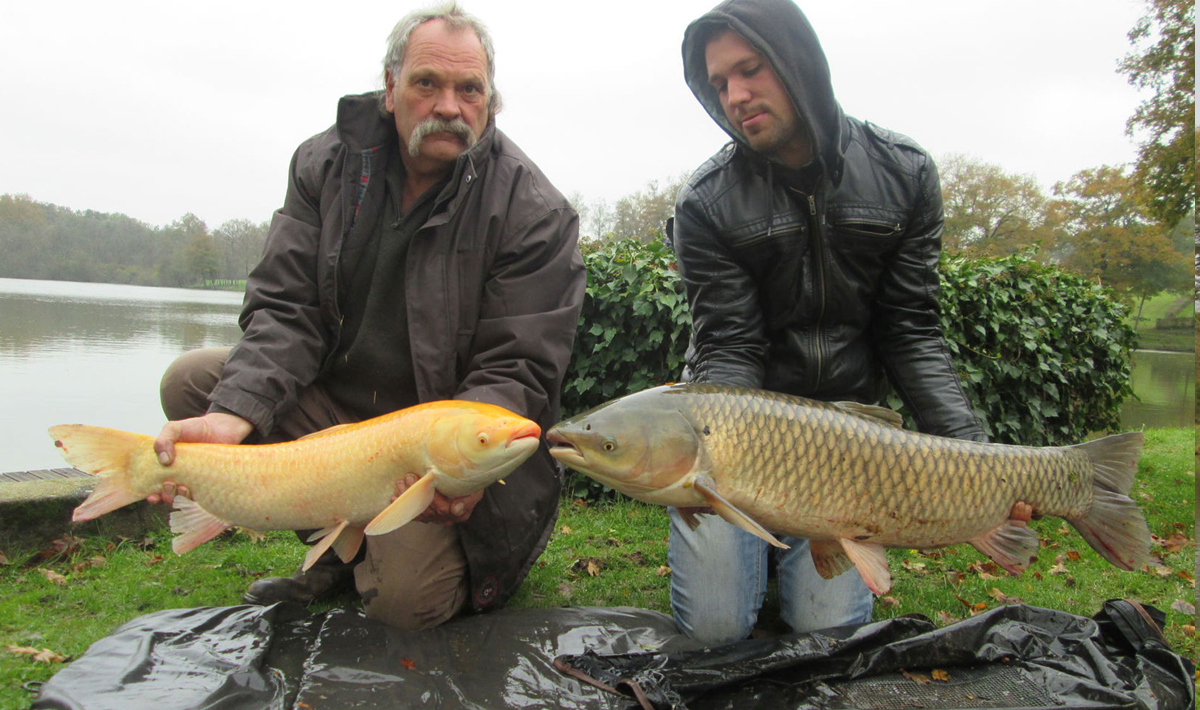 Karper Etang Morlou Visvakantie Frankrijk Visvakantie Accommodatie 8