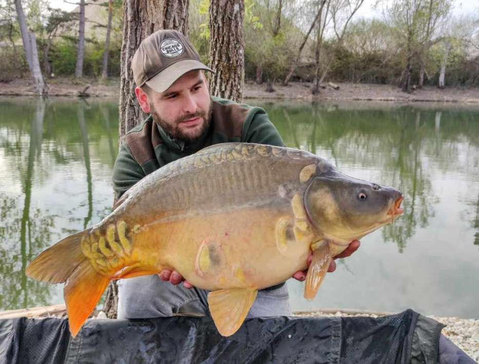 Lanodonte Karpervissen Noord Frankrijk 13 Karpervissen Frankrijk 13
